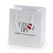 White matte laminated paper shopping bags hot stamped with 2 colors