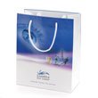 White hi gloss laminated paper shopping bag printed with 4 color process