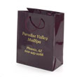 Burgundy hi gloss laminated paper shopping bag hot stamped with 1 color on